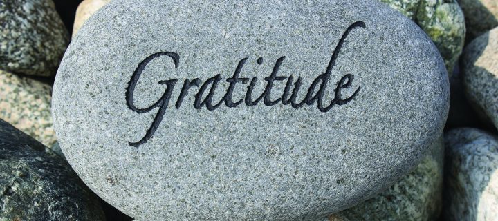 Gratitude Games: Fun Ways To Reawaken Appreciation in Kids