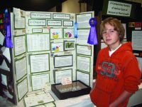 Tips for Creating a Winning Science Fair Project