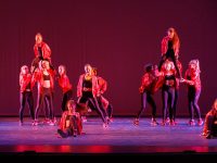 Get Your Groove On at the Spotlight Performance