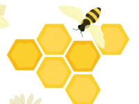 How Your Family Can  Help Save The Bees